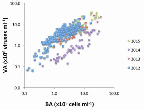 2012~2015년 북극해 박테리아(BA)와 바이러스(VA) 개체수의 상관 관계