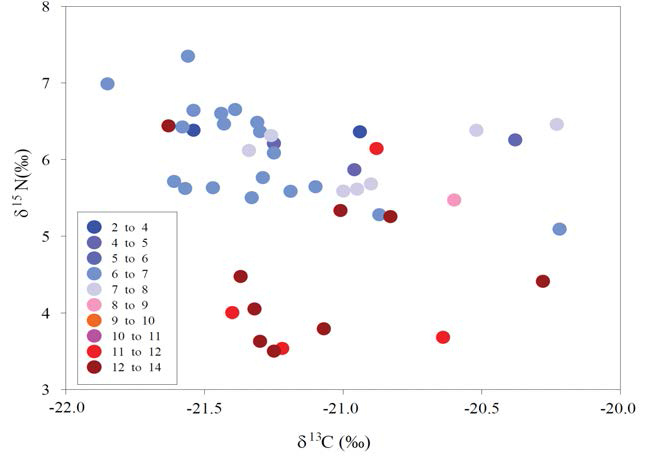 Relationship between stable isotope ratios of organic carbon (δ13C (‰)) and nitrate nitrogen (δ15NN(‰)) in the southeastern Yellow Sea. The color of circles represents the grades of C/N ratios in box