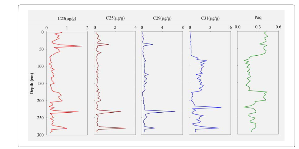 Vertical distribution of C23, C25, C29, C31 concentration (ug/g) and Paq value in core 07YS-PC12 of the southeastern Yellow Sea.