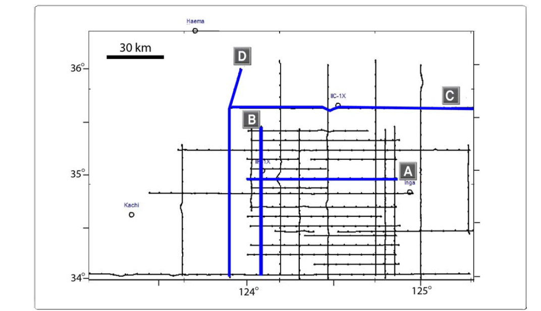 Location of the seismic survey lines in 2010 and existing wells in the Kunsan Basin.