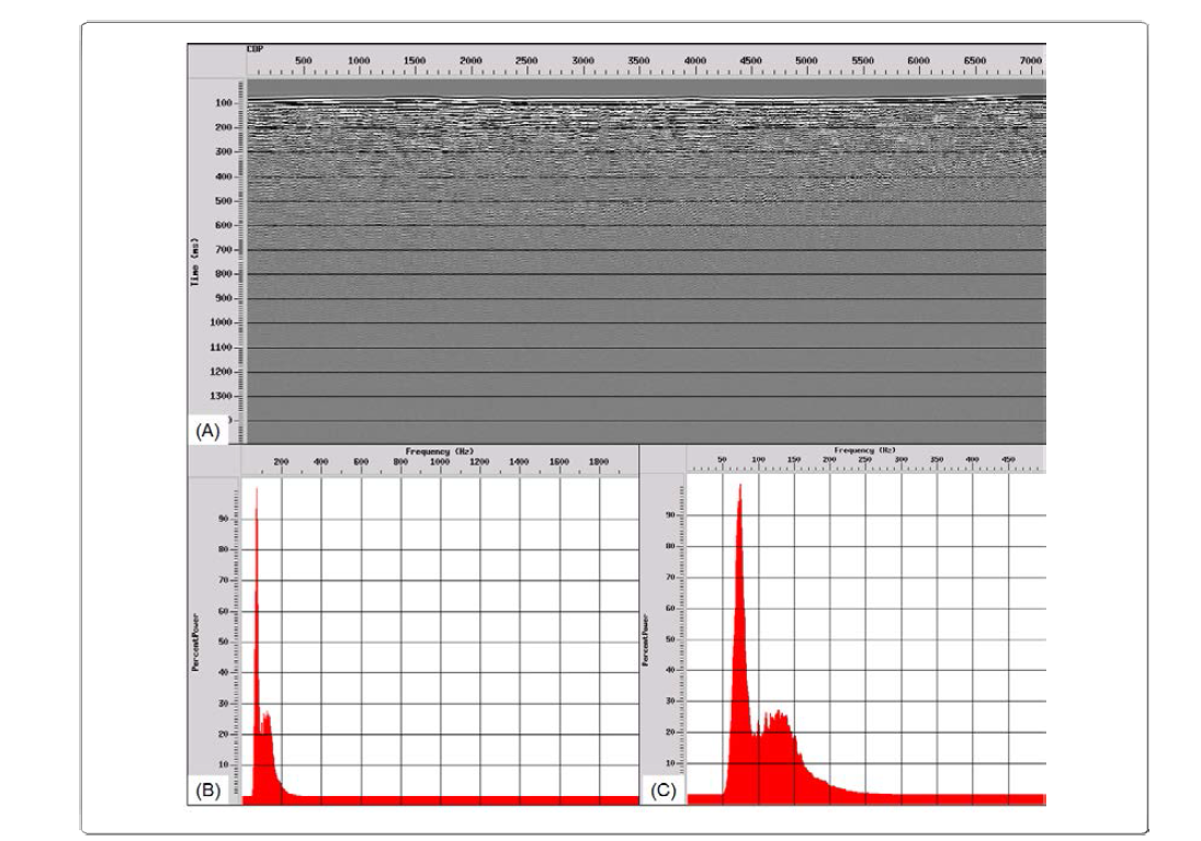 Stack section of 2015-EEZ05 (A). Amplitude spectrum before (B) and after resampling (C), respectively.