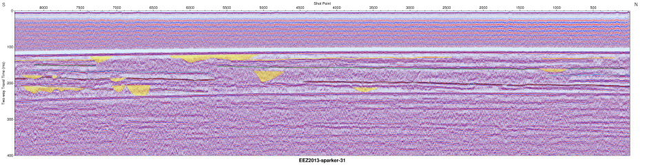 Interpreted Sparker seismic profile section (EEZ-SP-31 in 2013).