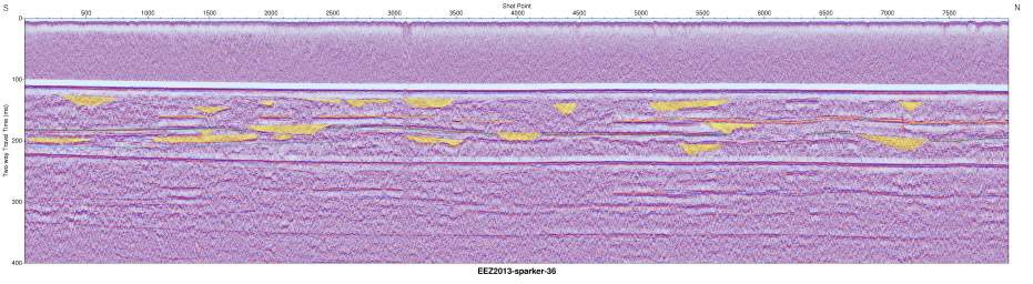 Interpreted Sparker seismic profile section (EEZ-SP-36 in 2013).