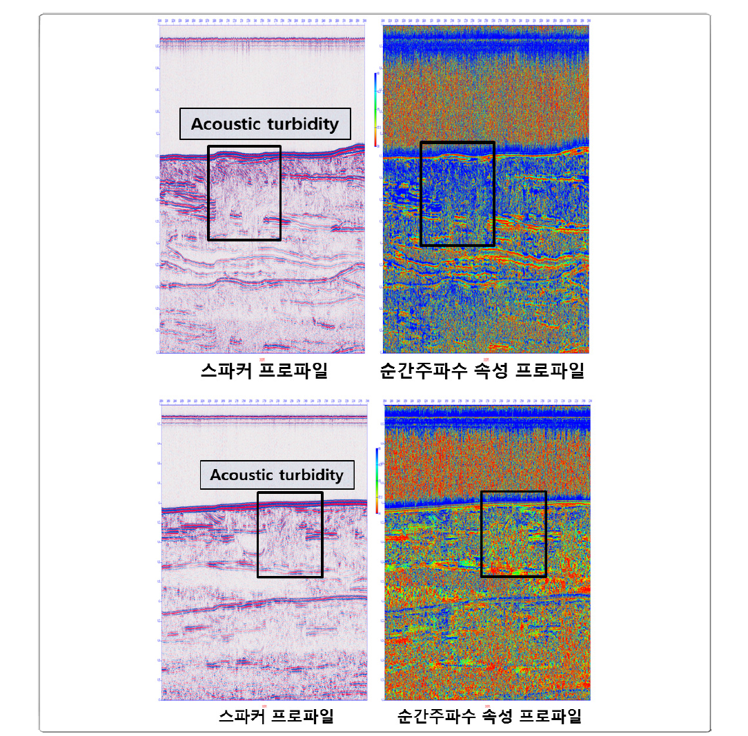 Sparker seismic profiles showing shallow gas-charged sedimentary layers characterized by acoustic turbidity and frequency variation anomalies.