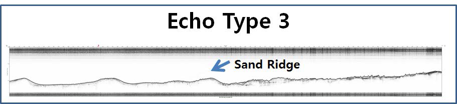 High-resolution Chirp subbottom profile showing acoustic characters and geometry of echo type 3. Arrow indicates sand ridges.