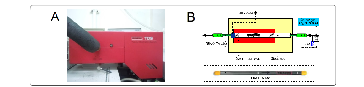 (A) Schematic diagram of thermal desorption system (TDS) and (B) glass tube and sample with thermal extractor (Gerstel, Germany).