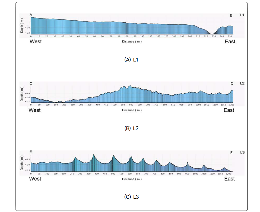 Bathymetric profiles along the NT55 line. Each subarea (L1~L3) is indicated in 3-2-129.