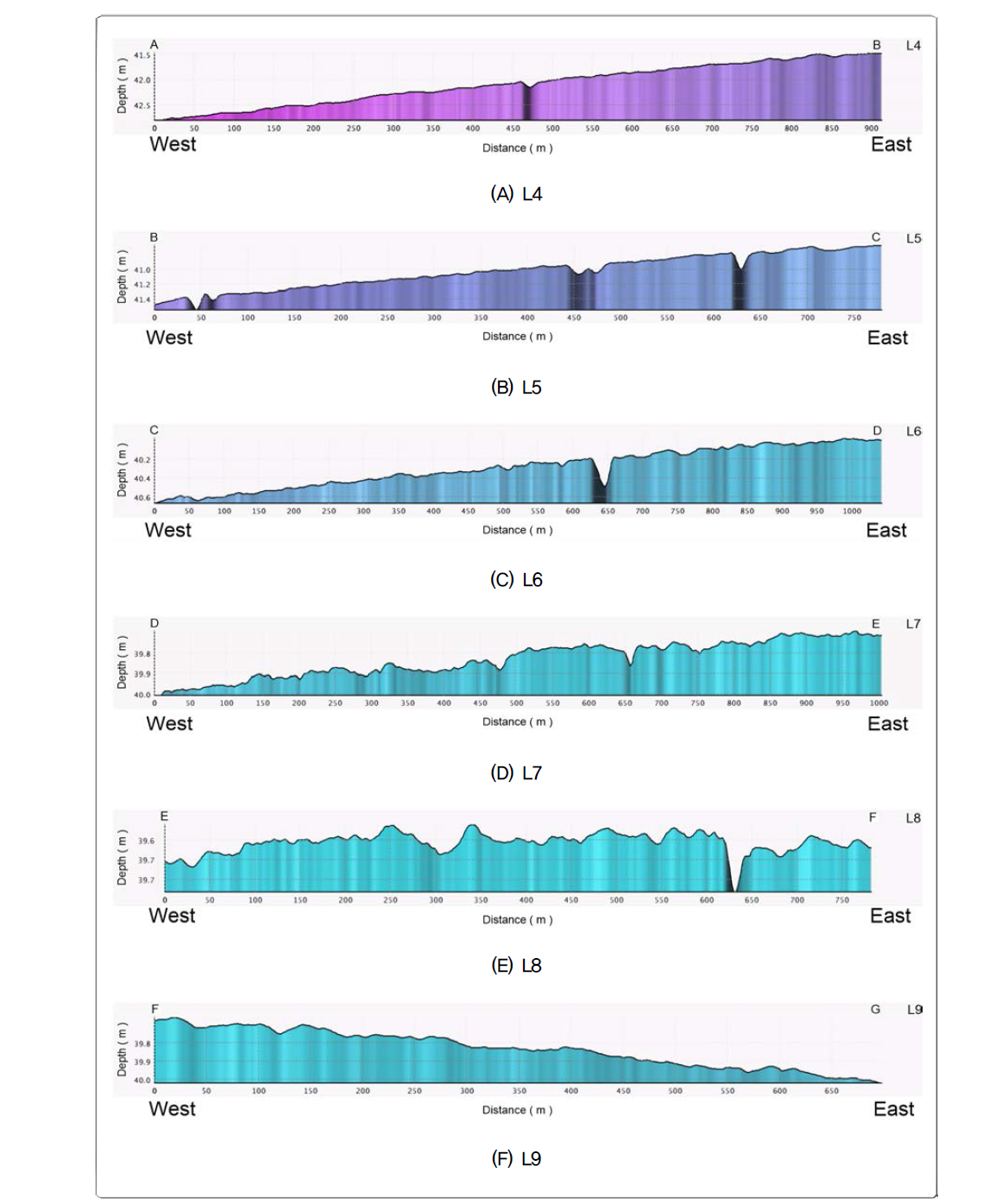 Bathymetric profiles along the NT112 line. Each subarea (L4~L9) is indicated in Fig. 3-2-129. Hole-shape morphological features with about 1 m depth appear frequently along the site.