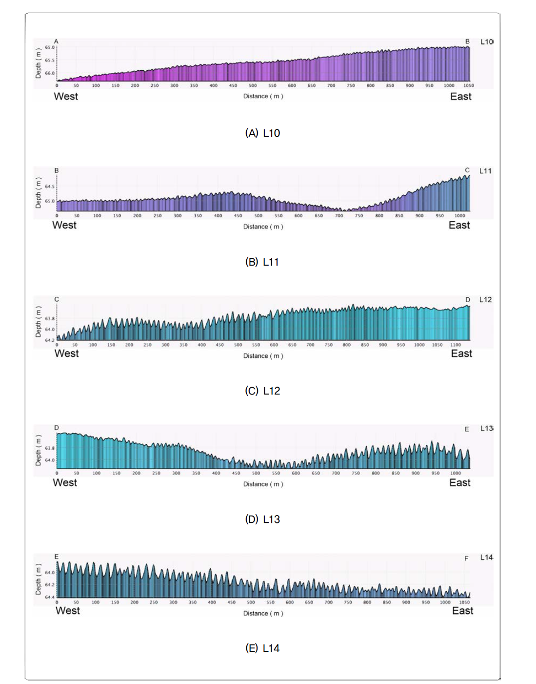 Bathymetric profiles along the NT116 line. Each subsection (L10~L14) is indicated in 3-2-129. Mega-ripple bedform features with intervals of 3~5 m are well developed in east-west or southwest-northeast direction.