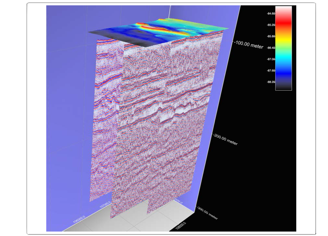 3-dimensional Sparker seismic profiles with the MBES image at the U site.