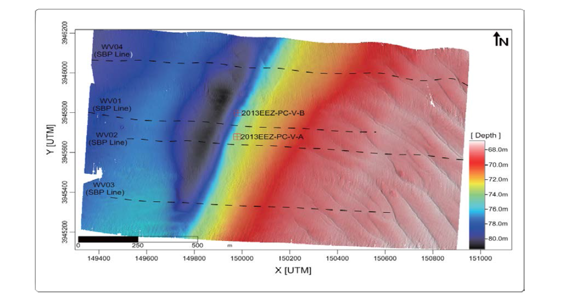 DEM image of the V site.