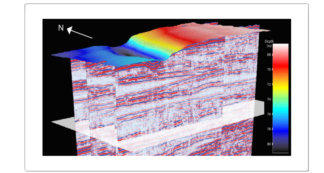 3-dimensional Sparker seismic profiles with the MBES image at the V site.