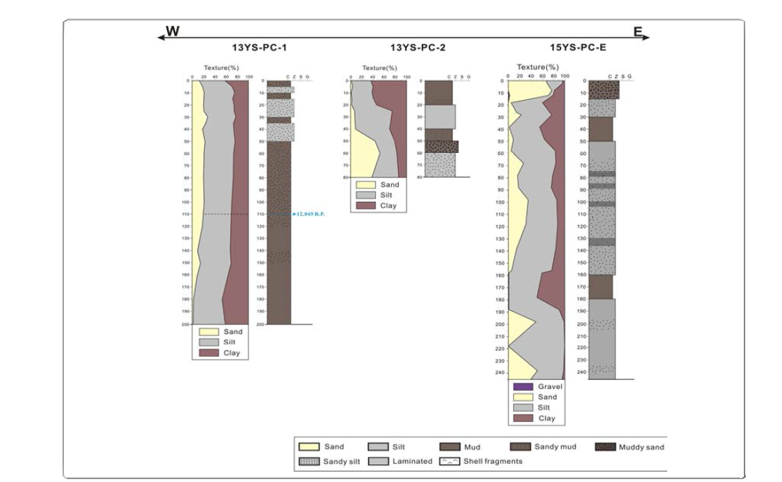 Columnar sections showing sediment texture and facies, often with ages of core samples collected in the southern part of the Kunsan Basin.