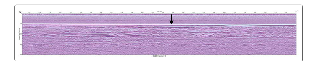 Location of piston core 13YS-PC-2 (arrow) on Sparker seismic profile.