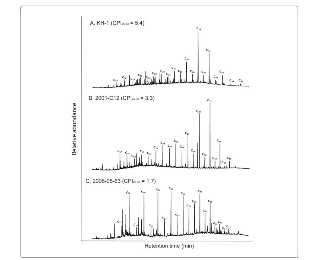 Examples of GC-FID chromatograms of n-alkanes in river bank and marine surface sediments.