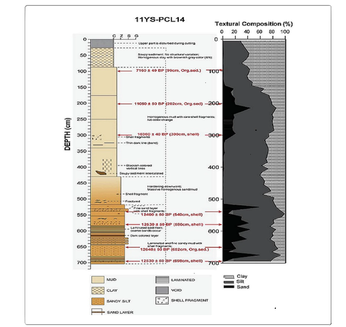 Schematic lithologic pattern with description and calibrated ages with depth of core 11YS-PCL14.