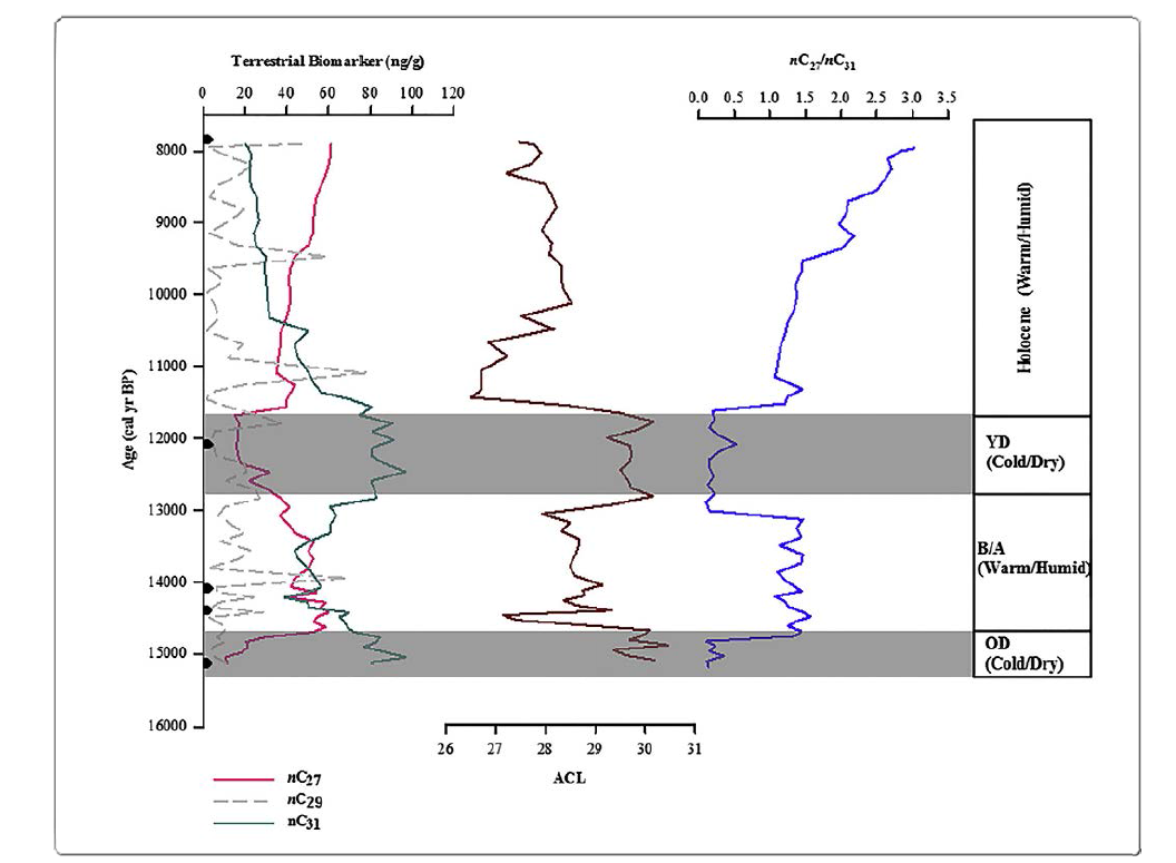 Relative concentration of n-C27, n-C29, and n-C31 from sediment core 11YS-PCL14. Average Chain Length (ACL), Younger Dryas (YD), Bølling/Allerød (B/A), Oldest Dryas (OD).