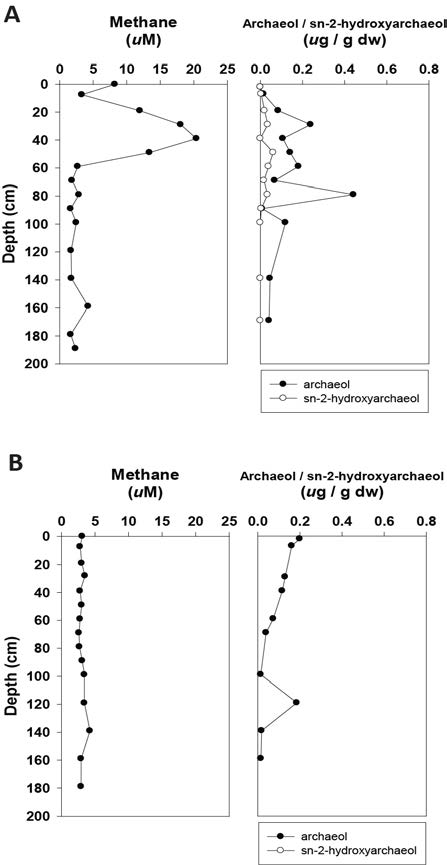 Vertical distribution of methane-related lipid biomarker (archaeol and sn-2-hydroxyarchaeol) in cores 14YS-PC-2 (A) and 14YS-PC-3 sediment (B) in the Kunsan Basin, Yellow Sea.