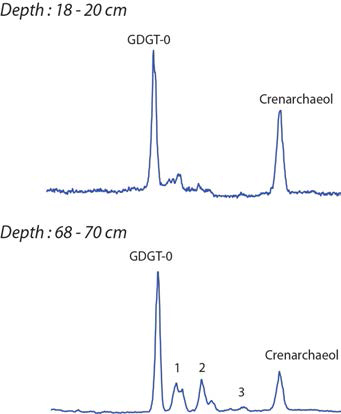 Base peaks of HPLC chromatograms of the polar fractions showing compositional variations among the iso-GDGTs. 1, 2 and 3 denote the content of GDGT-1, -2 and -3 from the total identified GDGTs from core 14YS-PC-2 sediment in the Kunsan Basin, Yellow Sea.