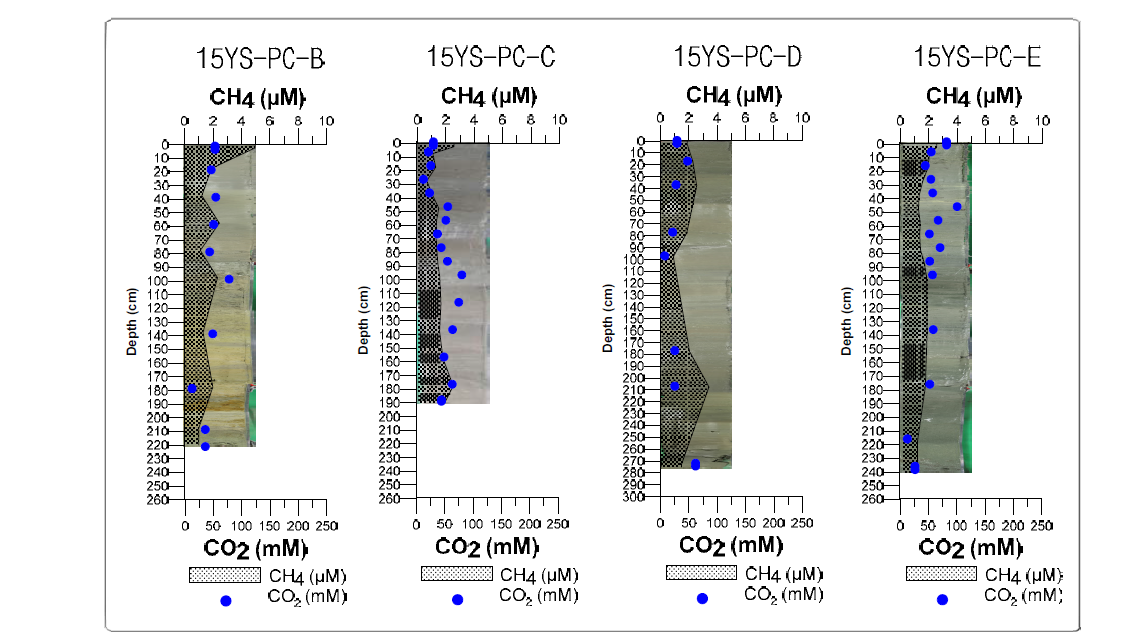 Photograph and vertical variations in CH4 (methane) and CO2 (carbon dioxide) concentration in cores 15YS-PC-B, 15YS-PC-C, 15YS-PC-D, and 15YS-PC-E sediment.