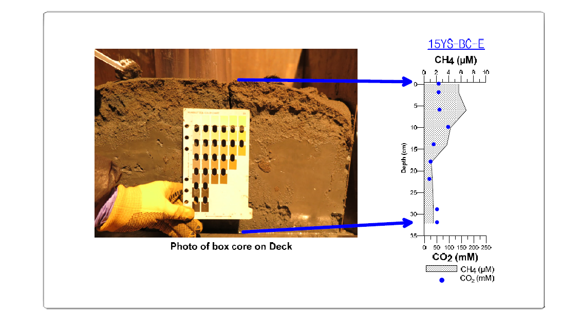 Photograph and vertical variations in CH4 (methane) and CO2 (carbon dioxide) concentration in box core 15YS-BC-E sediment.