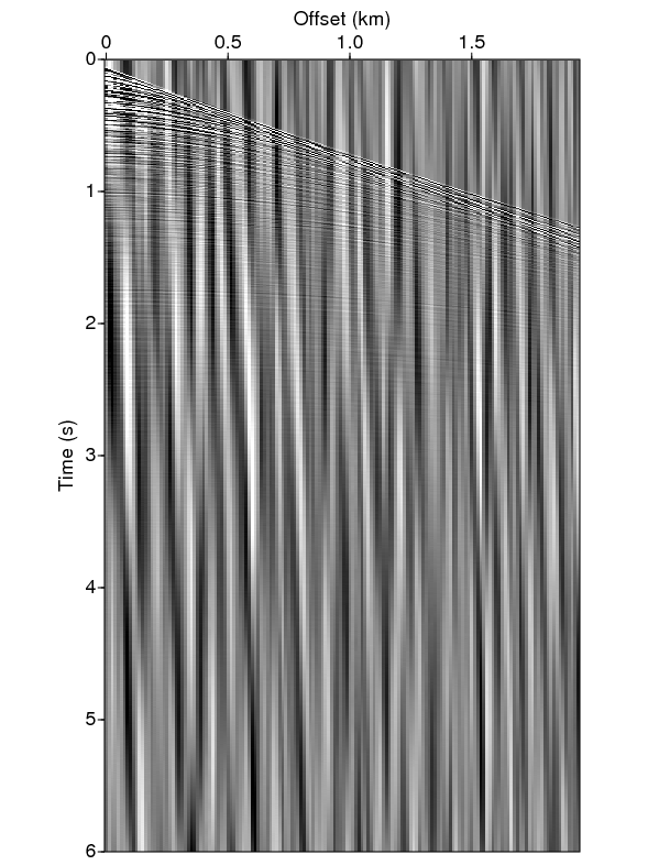 Common shot gather from real seismic data.