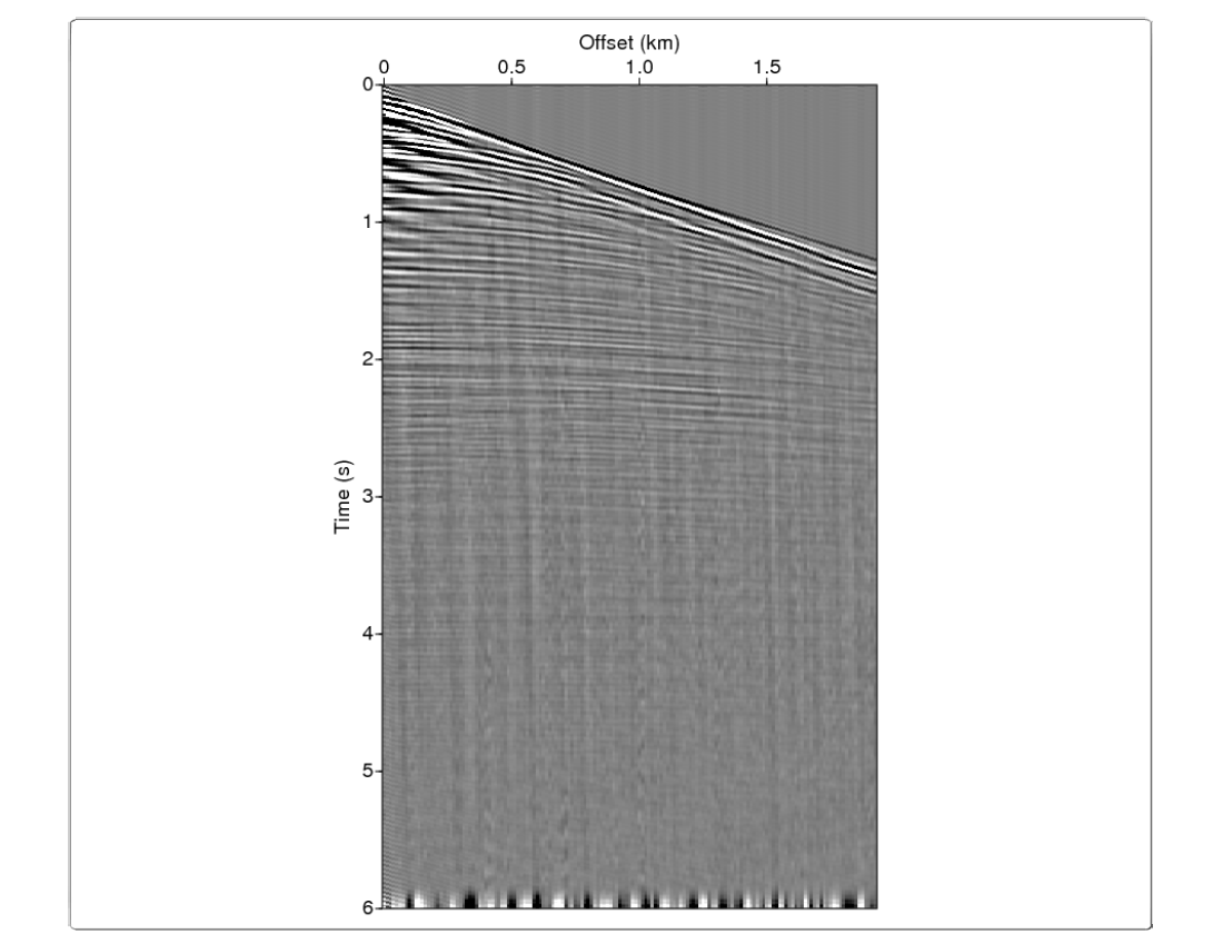 Common shot gather after interpolation