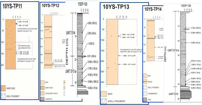 Sedimentary characteristics and ages of sediment cores 10YS-TP11, -TP12, -TP13, and –TP14. Note: Description of cores YSDP-102 and –103, after Korea Institute of Geoscience And Mineral Resources (2003).