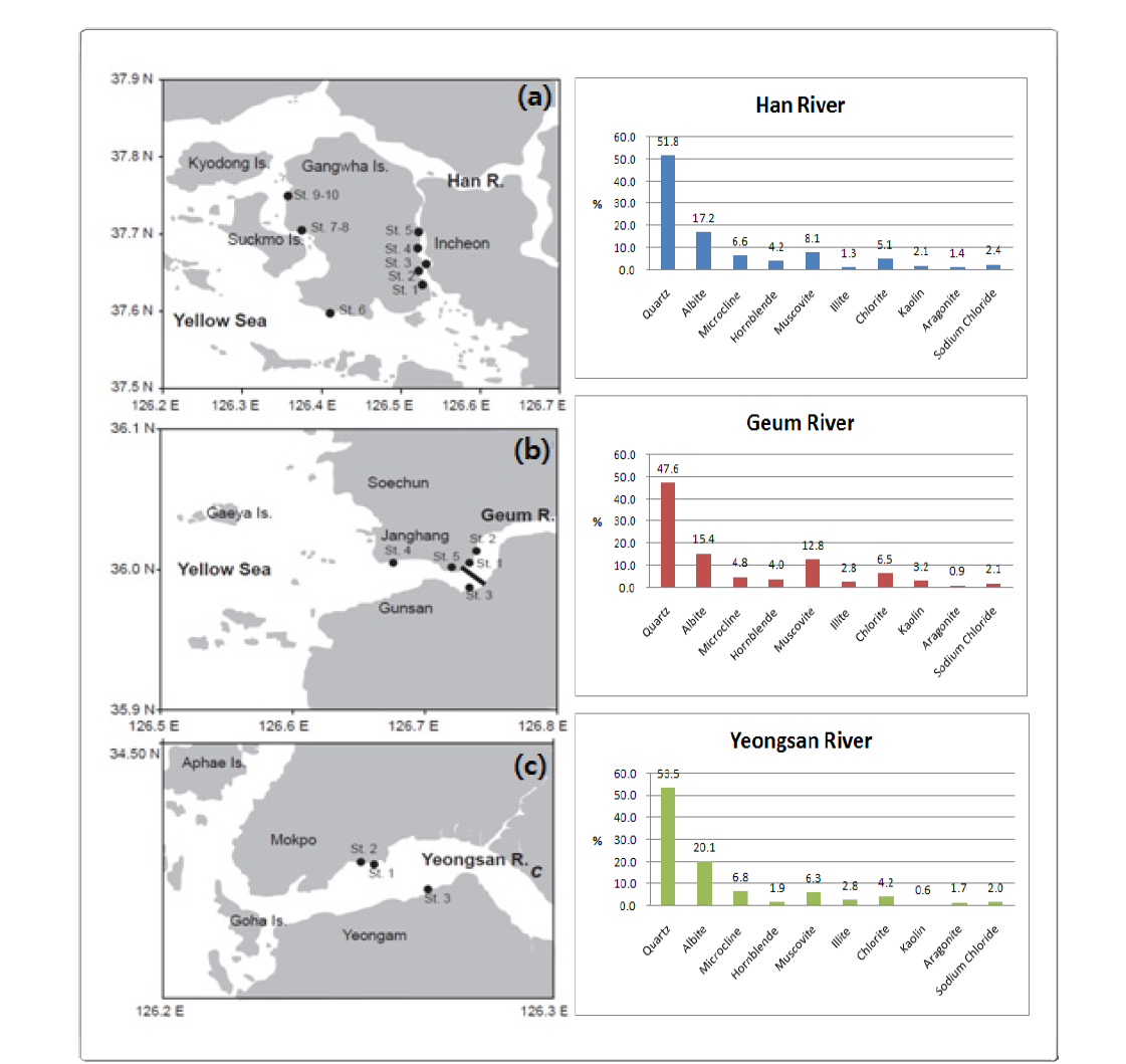 Mineral composition of estuarine sediments of Han (a), Geum (b), and Yeongsan (c) rivers.