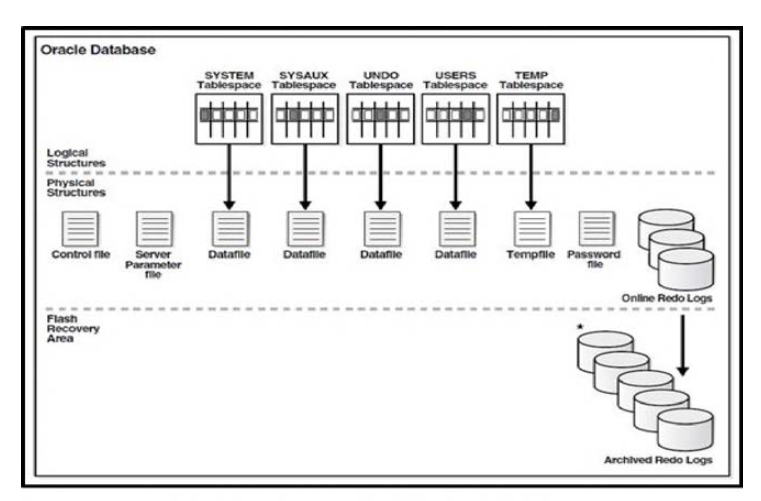 Oracle Database 저장 구조