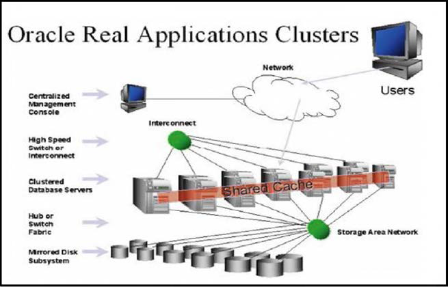 Oracle Real Application Clusters(RAC) 구조