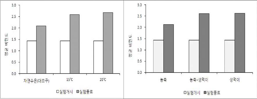 참담치의 수온과 먹이공급 형태에 따른 평균 비만도 변화