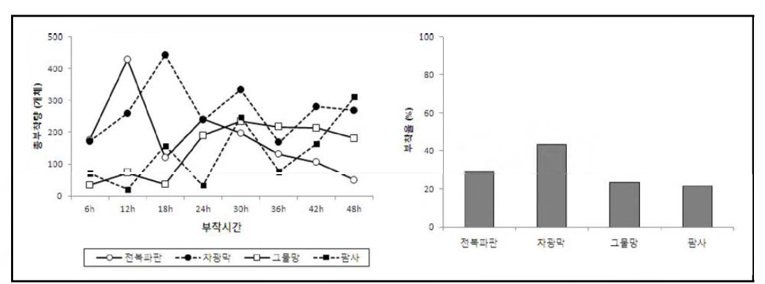 부착기질에 따른 참담치 부착기유생의 부착량과 부착율