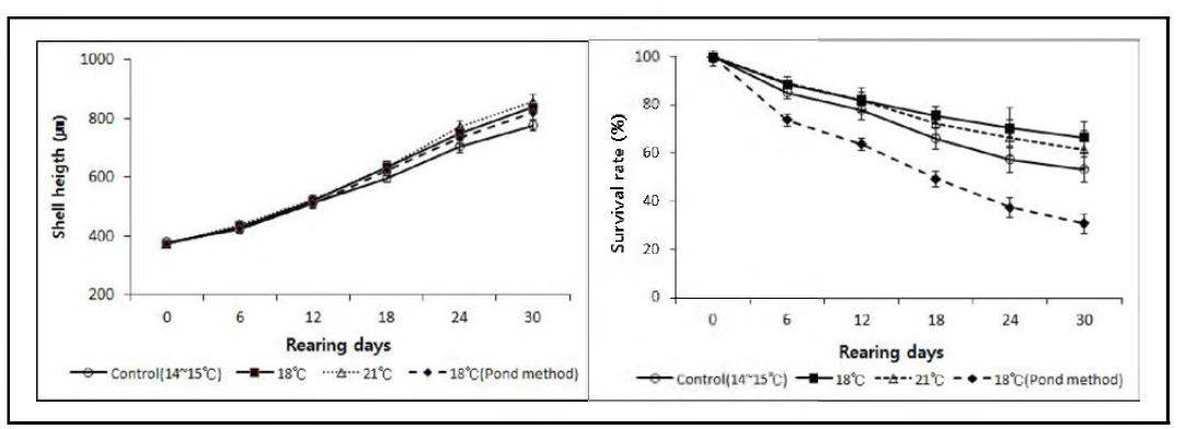 사육수온에 따른 참담치 초기 부착치패의 각고 성장과 생존율(2014년)
