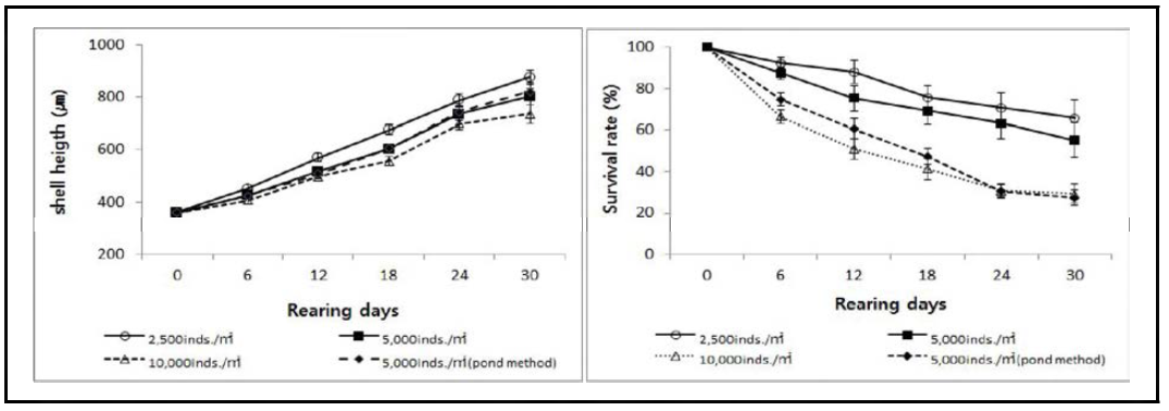 사육밀도에 따른 참담치 초기부착 치패의 각고 성장과 생존율(2014년)