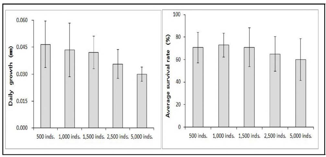사육밀도에 따른 참담치 치패의 평균 각고 일간성장과 평균 생존율