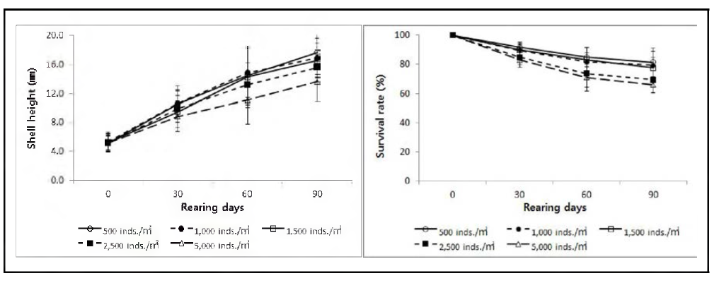 뗏목식 중간양성시 사육밀도에 따른 성장과 생존