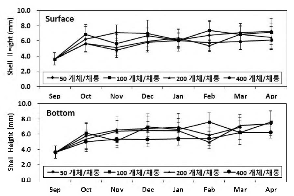 서해안 축제식 중간양성장에서 참담치의 월별 각고의 성장 변화