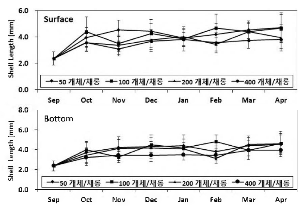 서해안 축제식 중간양성장에서 참담치의 월별 각장의 성장 변화