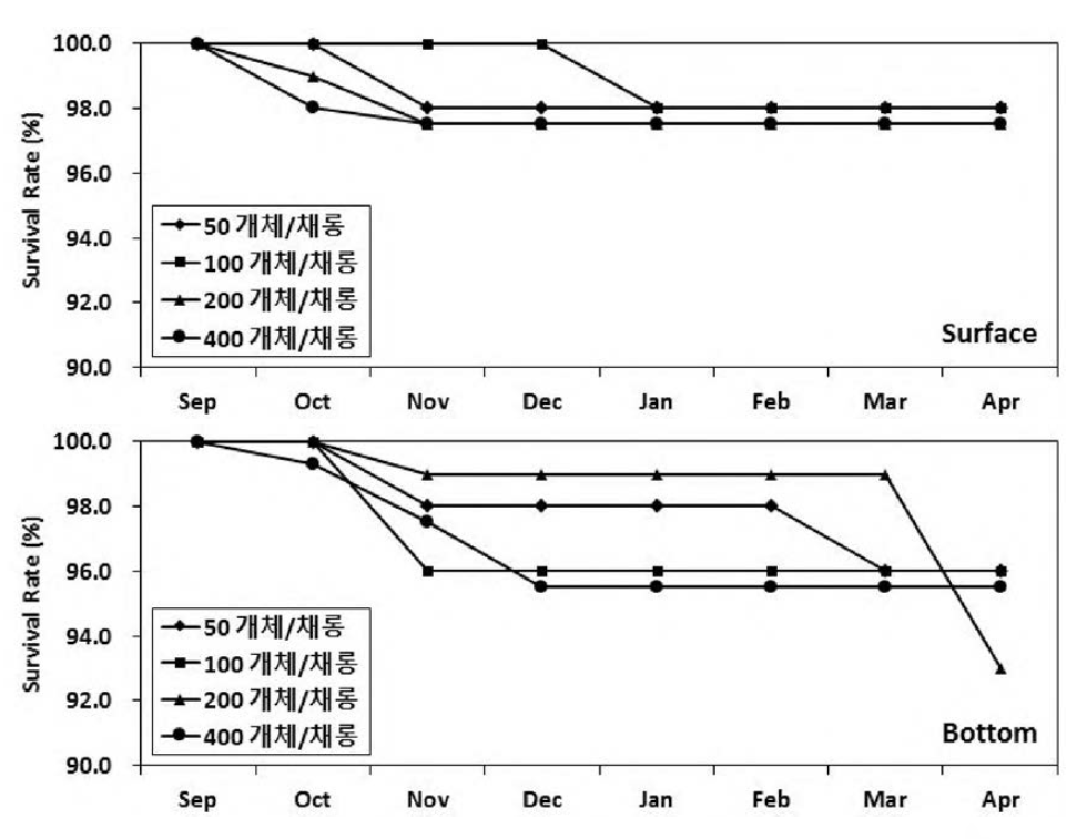 서해안 축제식 중간양성장에서 참담치의 월별 생존율