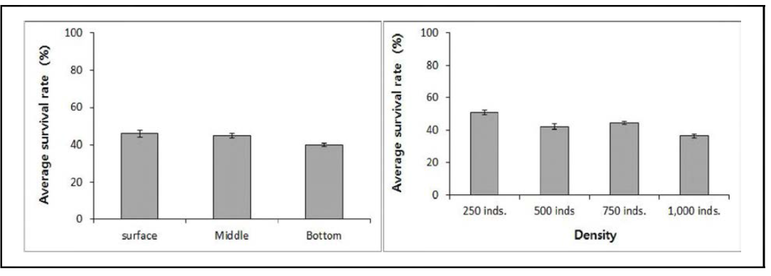 채롱식 양성시 사육수층과 사육밀도에 따른 평균 생존율