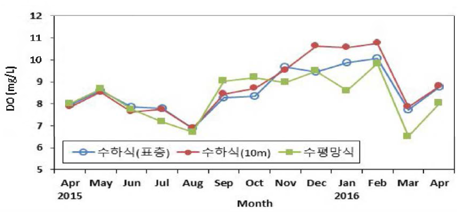 참담치 양성장의 월별 용존산소(DO) 변화