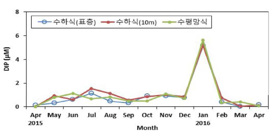 참담치 양성장의 월별 용존무기인(DIP) 변화