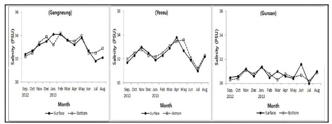 참담치 서식 해역의 월별 염분 변화