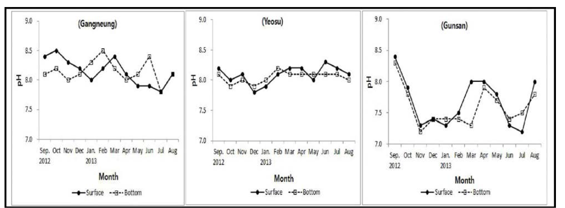 참담치 서식 해역의 월별 수소이온농도(pH) 변화