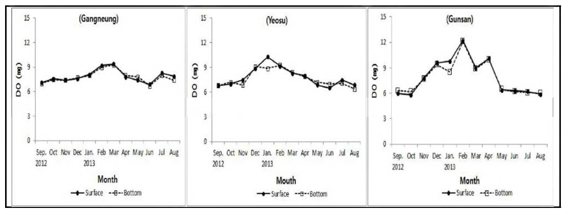 참담치 서식 해역의 월별 용존산소 변화