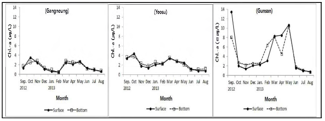참담치 서식 해역의 월별 엽록소-a 함량 변화