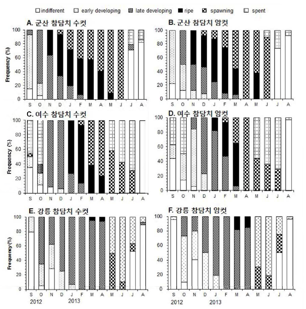 해역별 참담치의 생식소 발달 단계