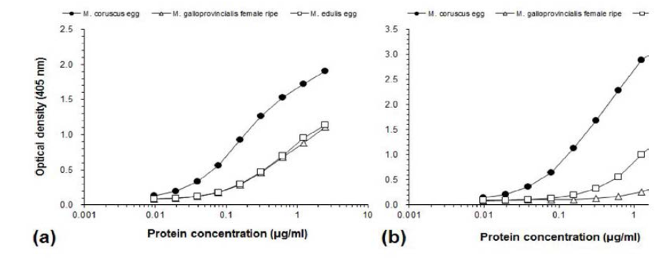 Indirect-ELISA를 이용한 참담치 난 단백질 항혈청 (anti-serum)과 항체 (anti-IgG)에 대한 홍합속 담치류 (species)의 교차반응