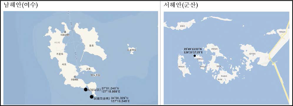 참담치 부유유생 조사 및 자연채묘 시설 설치 정점